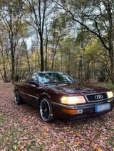 Audi AUDI V8 D11 3.6l QUATTRO - Audi V8 Gebrauchtwagen