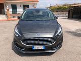 Ford S-Max 2.0 EcoBlue 190CV Start&Stop Aut. Tit - Behindertengerechte Ford S-Max