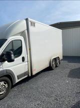Peugeot Boxer Kastenwagen Diesel  fahrber... - gebrauchte Peugeot Boxer aus dem Jahr 2009