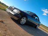 Mercedes-Benz Mercedes W124 Coupe 230CE Sportline Oldtim... - Mercedes-Benz E 230: Sportwagen