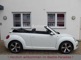 Volkswagen Beetle 1.2TSI Allstar Plus Fender Leder Kamera - Volkswagen: Allstar