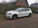 Volkswagen Golf 7 Highline 2.0 TDI Vollleder Bi Xenon