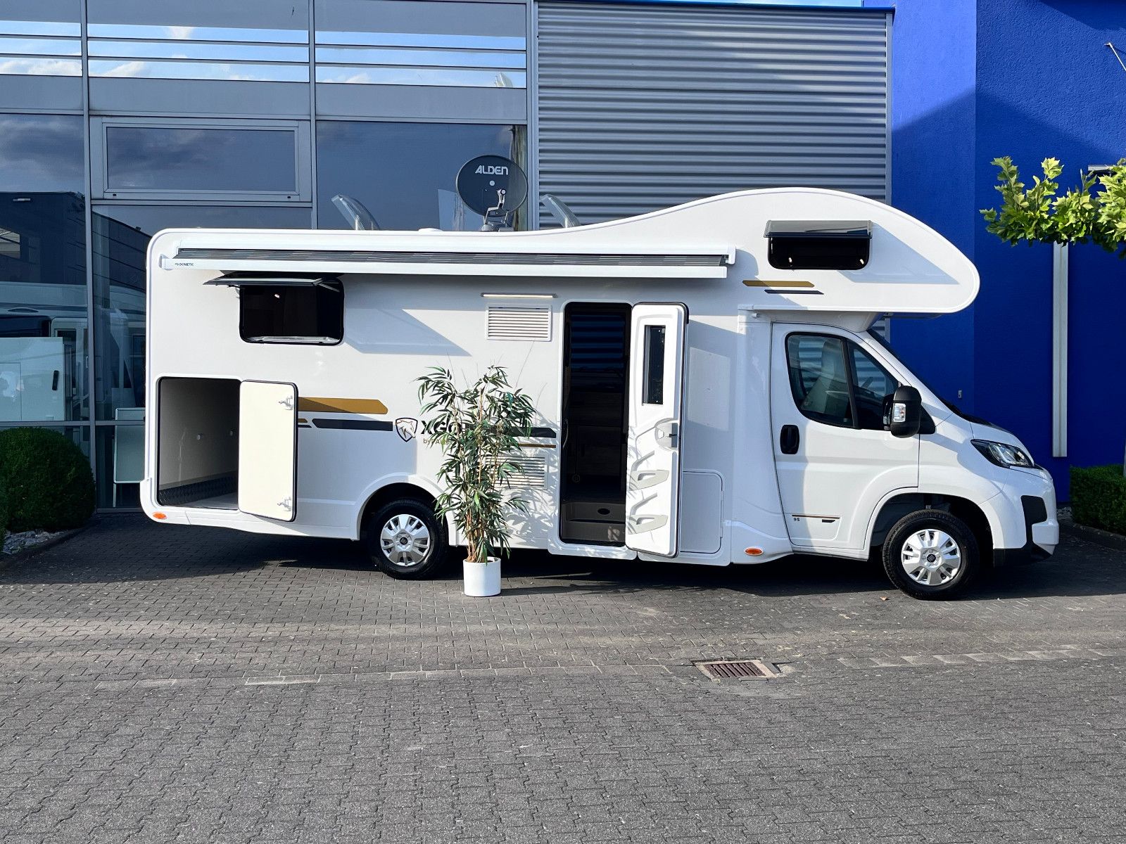 Fahrzeugabbildung XGO Dynamic 95 G - Modell 2026