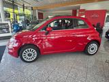 Fiat 500 Cabrio Lounge - Fiat 500: Rot, Cabrio