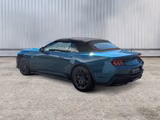 Ford Mustang Cabrio GT V8 Aut.+Magne-Ride+B&O+KeyFree - Ford Mustang: Cabrio