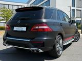 Mercedes-Benz ML 63 AMG.SD,Leder Beige,ACC,Harman-Kardon - Mercedes-Benz ML 63 AMG Gebrauchtwagen