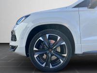 Cupra Ateca - Vorschau Bild 8