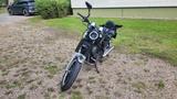 Honda VT500C, LED Umgerüstet, TÜV: 08.26 - HONDA VT 500