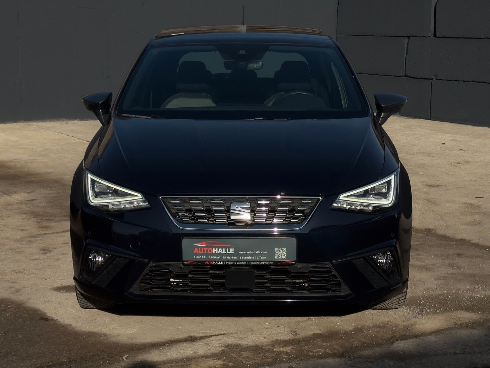 Fahrzeugabbildung SEAT Ibiza 1.0 TSI Xcellence Schiebedach Kamera LED