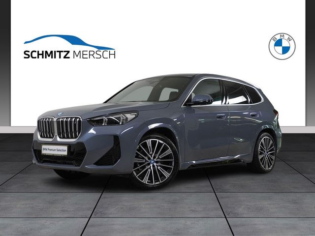 BMW iX1 xDrive30 M Sportpaket DAB LED Pano.Dach RFK