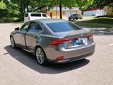 Lexus IS 300 300h Executive Line - Lexus IS-Serie Benziner Gebrauchtwagen