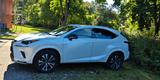 Lexus NX 300 300h - - Lexus aus 2021