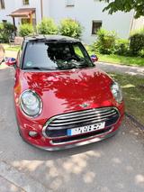 MINI Cooper Chili Paket; SR neu; inkl LM WR - MINI MINI: Chili Paket