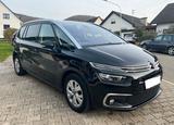Citroën Grand C4 Picasso / SpaceTourer BlueHDi 130 S... - Citroën Grand C4 Picasso / SpaceTourer von privat