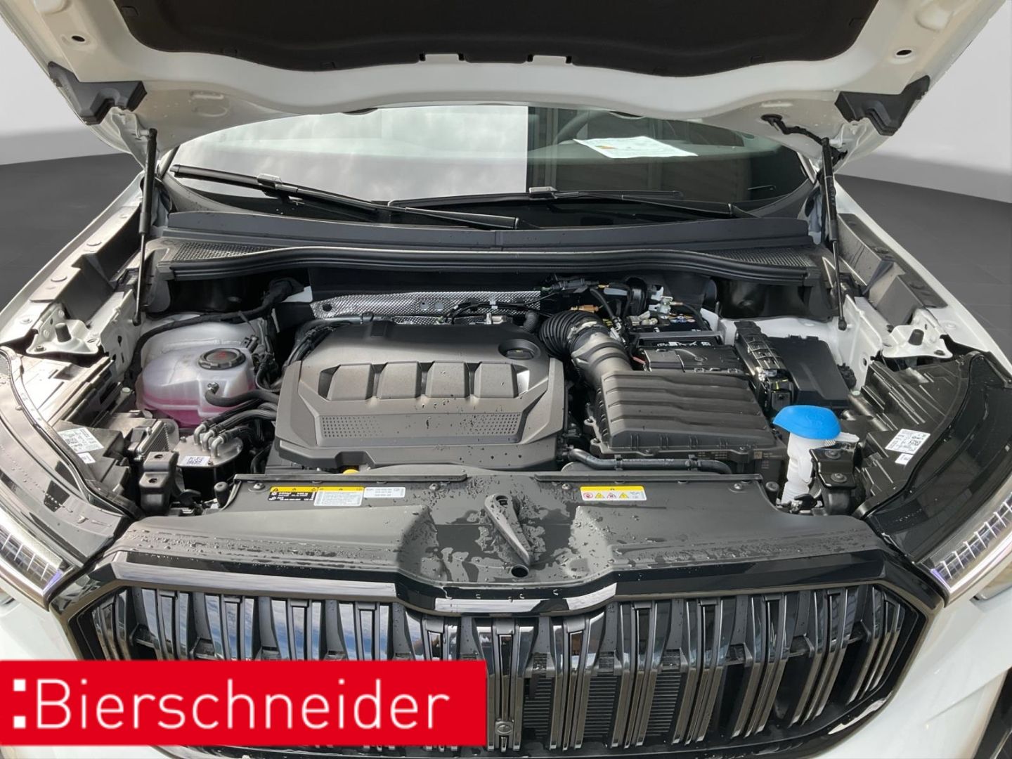 Skoda Kodiaq - Bild 25