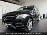 Mercedes-Benz ML 250 CDI BlueTec*ACC*1 HAND*4 MATIC*NAVI*TEMP - Mercedes-Benz ML 250 Gebrauchtwagen