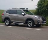 Subaru Forester 2.0ie Active Lineartronic Active - Subaru aus 2024