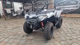 GOES Cooper 3.0 * 2 Monate alt - GOES QUAD