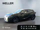 Lexus UX 300h Tech.Paket*dig CP*SHZ*Kamera*TWA*CarPlay - Lexus UX Tageszulassungen