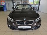 BMW 220i Cabrio Advantage 1.Hand Leder Kamera LED - mit Benzin-Antrieb: Braun, Cabrio