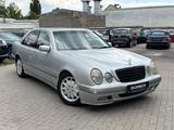 Mercedes-Benz E 270 CDI ELEGANCE Automatik*Klima - Mercedes-Benz E 270: Cdi Elegance