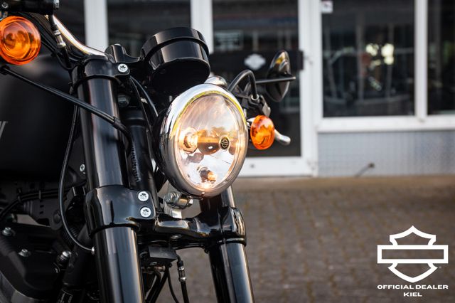 Fahrzeugabbildung Harley-Davidson XL1200CX ROADSTER -Penzl Auspuff-
