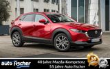 Mazda CX-30 2.5 (140PS) Autom. Exclusive Modell 2025 M - Mazda New cars: Modell