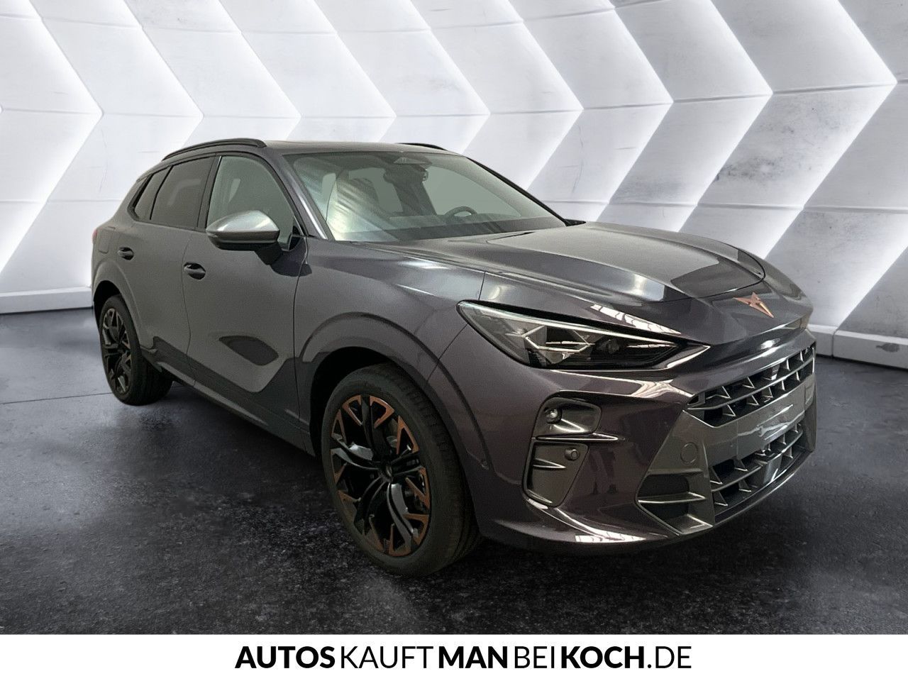 Cupra Terramar - Bild 7