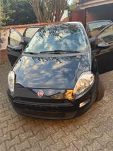 Fiat Punto 1.4 | TÜV neu | Klima | Start/Stop - Fiat Punto in Frankfurt (Main)
