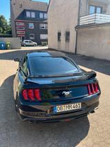 Ford Mustang 2.3 EcoBoost USA - Ford Gebrauchtwagen in Oberhausen