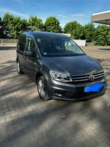 Volkswagen VW Caddy Baujahr 12/ 2019 - Volkswagen Caddy: C20