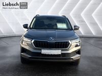 Skoda Karoq - Vorschau Bild 8