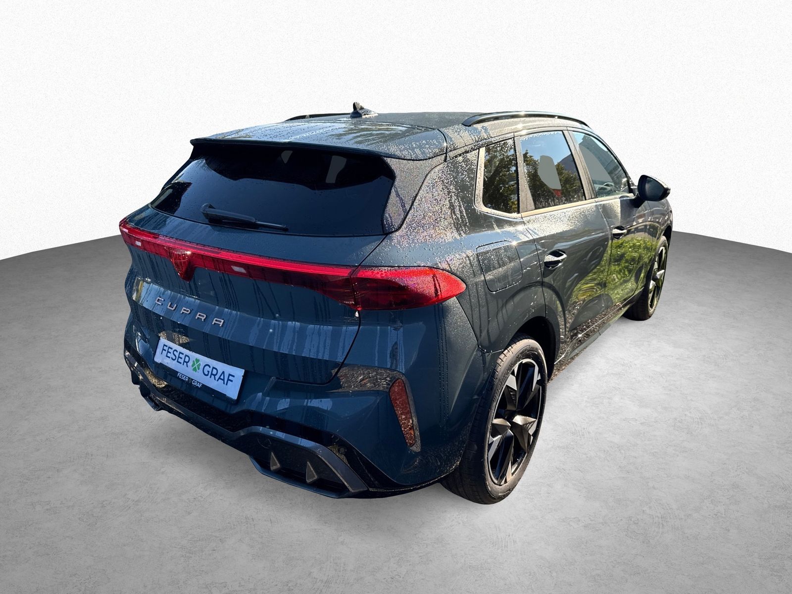 Cupra Terramar - Bild 4