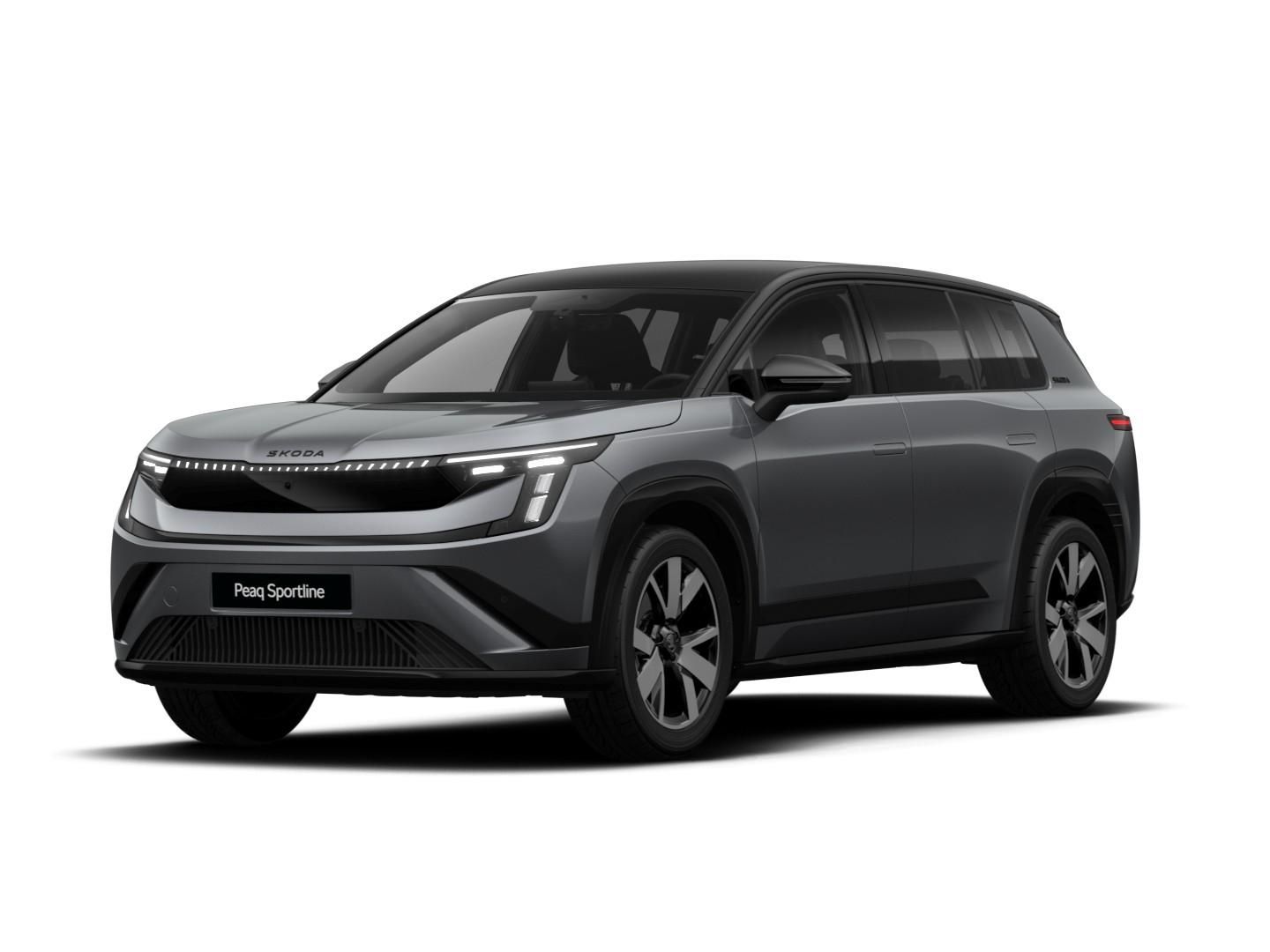 Skoda Andere - Bild 2