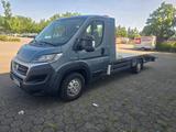 Fiat fiat Ducato 2.3 JTD Autotransporter abschl... - Fiat Ducato in Hamm