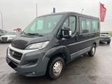 Fiat Ducato 2.3 MJT  9 Sitzer  Mit Guten Ausstattung - Fiat Ducato: Kleinbus, Sitzer 9