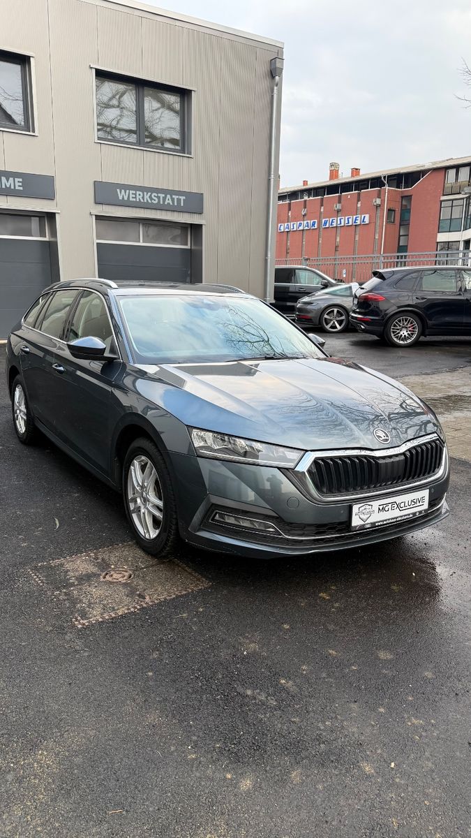 Fahrzeugabbildung SKODA Octavia Combi First Edition