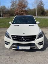 Mercedes-Benz ML 350 BlueTEC 4MATIC - - Mercedes-Benz ML 350 Gebrauchtwagen in Stuttgart