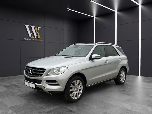 Mercedes-Benz ML 500  BlueEfficiency/ V8 /Schiebedach/AHK/Navi