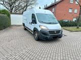 Fiat Ducato 2.3 Multijet 140 PS - Fiat Ducato in Essen