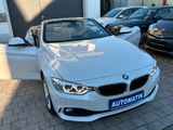 BMW 428 i*Cabrio*Automatik*1.Hand*Unfallfrei*PDC*SHZ - BMW in Bamberg