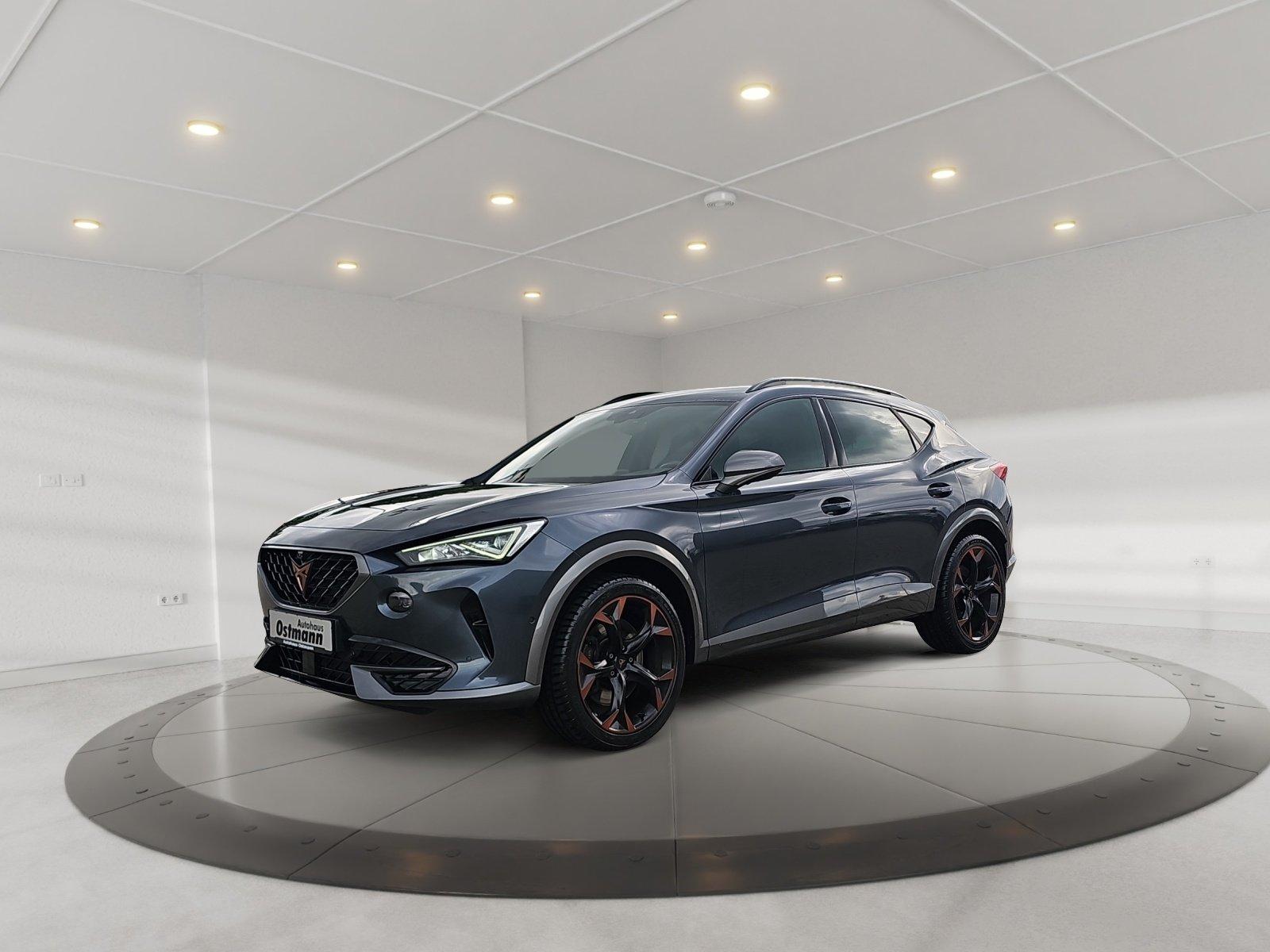 Cupra Formentor VZ 2.0 TSI AHK 360° Beats CarPlay