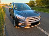 Ford Kuga 1,5 EcoBoost 4x2 88kW Trend  mit Gasanlage - : mit Gasanlage