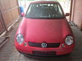 Volkswagen Lupo 1.0 Oxford Oxford - Volkswagen Lupo: Rot