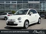 Fiat 500 Cult 1.0 Hybrid KLIMA/8-FACH/DAB/USB/ISO-FIX - Fiat 500 Cult mit Hybrid-Antrieb (Benzin/Elektro)
