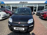 Fiat Panda Icon+5SITZER+KLIMA+BLUETOOTH+EINPARKHILFE+ - Fiat Panda