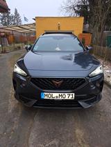 Cupra Formentor 1.5 TSI 110kW Tribe Edition DSG Tr... - Cupra Formentor: Tribe Edition