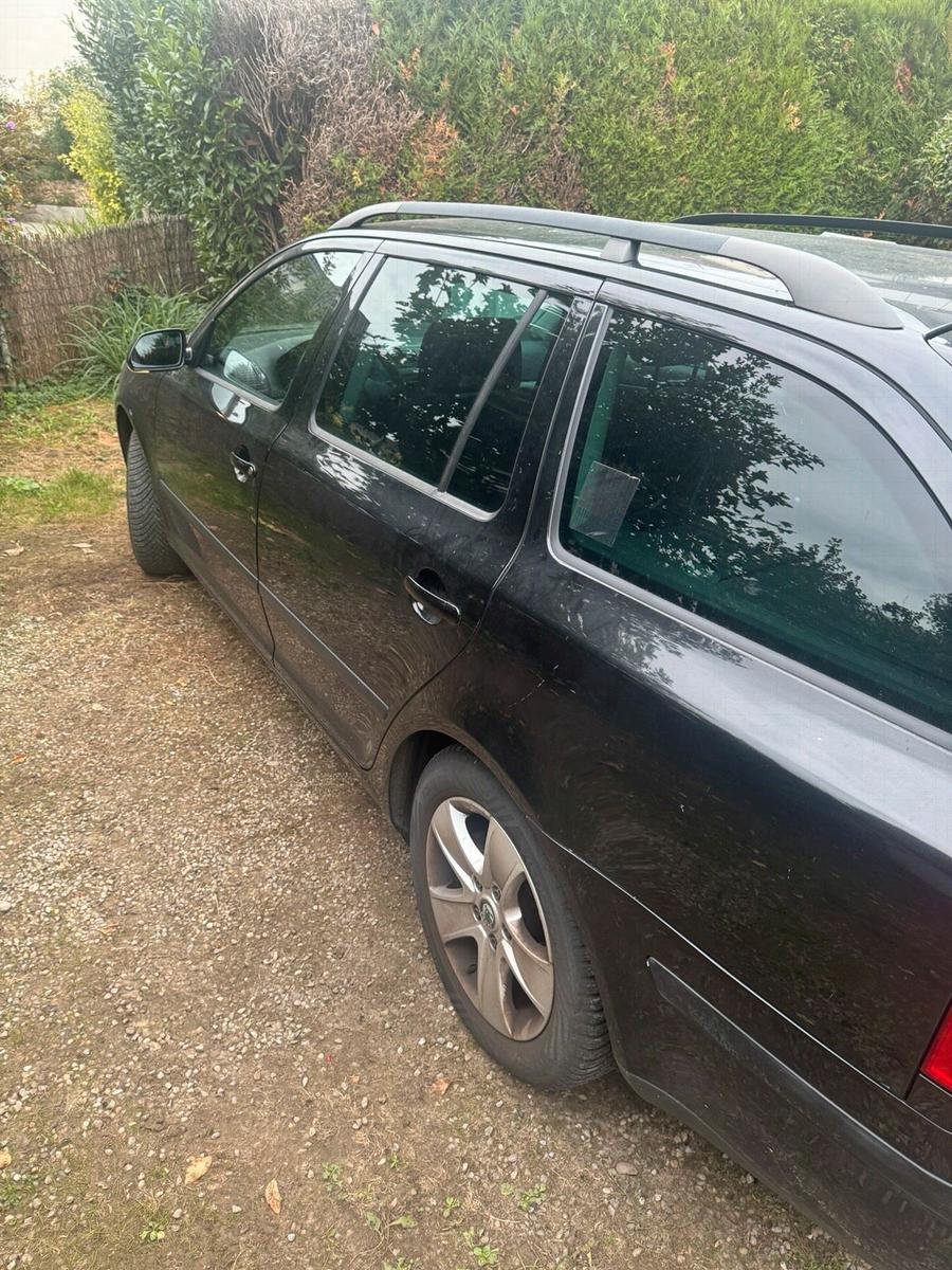 Skoda Octavia 2006 — rear view
