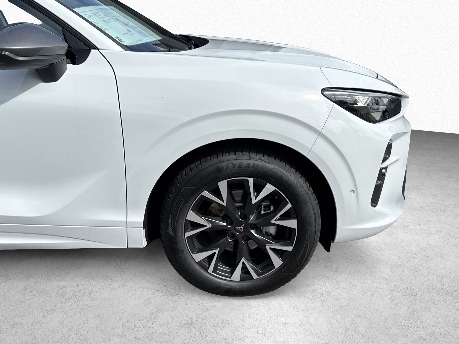 Cupra Terramar - Bild 4