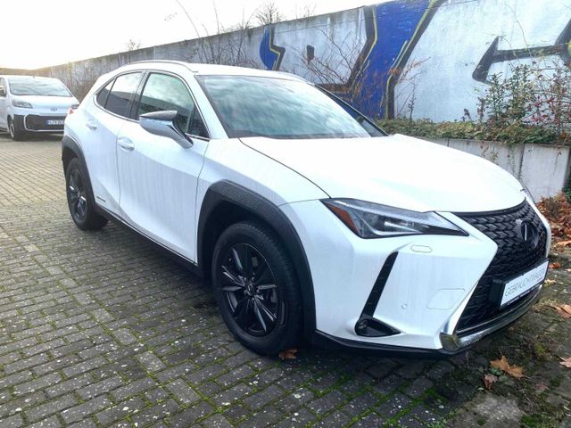 Lexus UX 250h Amazing Edition, Safety System